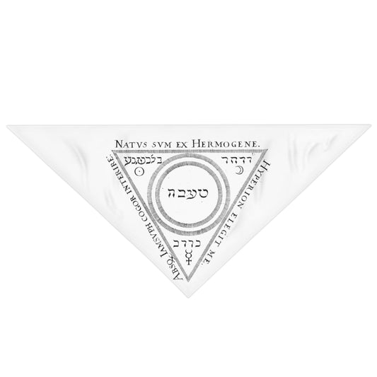 Protection Pet Bandana